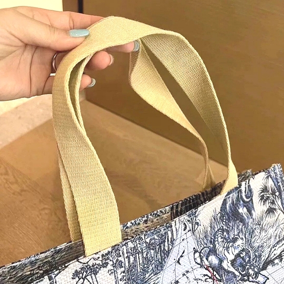 DIOR Around the World Tote limited edition - Picture 5 of 6